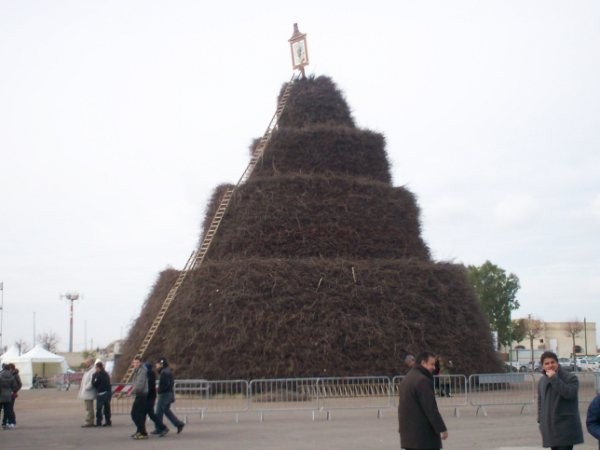 http://www.manduriaoggi.it/public//Focara%20Novoli%204.jpg